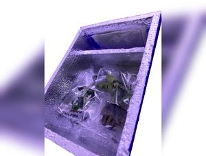 Insulated packaging + Heat pack