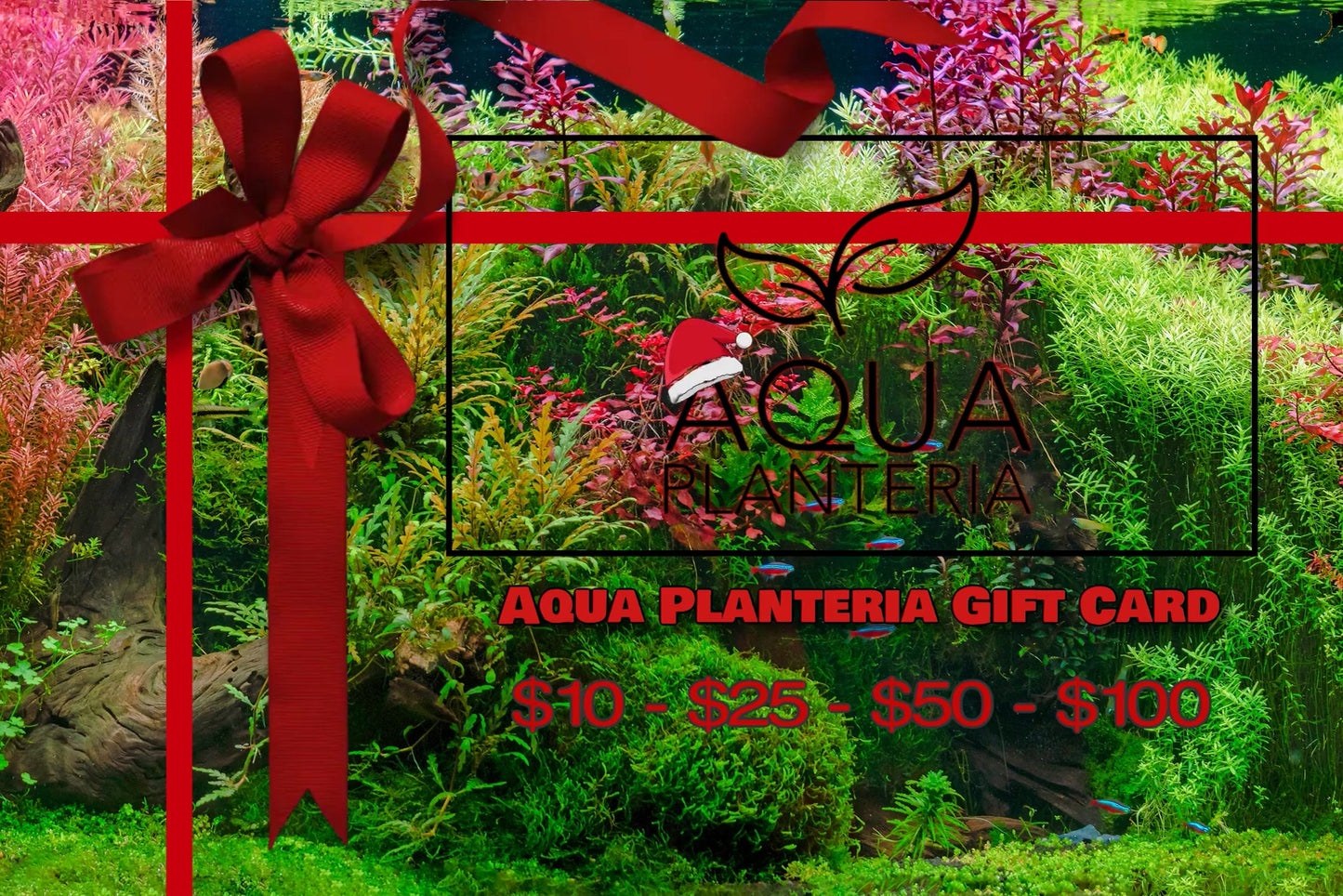 AquaPlanteria Gift Card