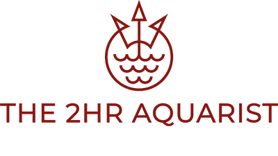 2Hr Aquarist APT e