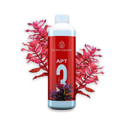 2Hr Aquarist APT 3