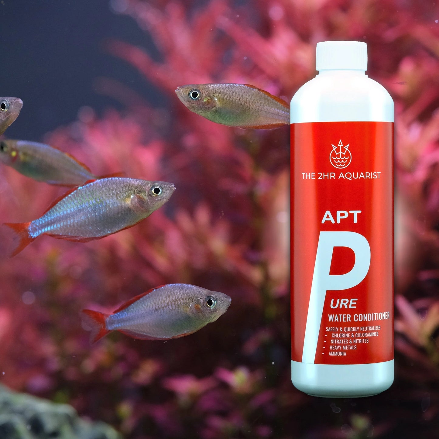 2Hr Aquarist APT Pure