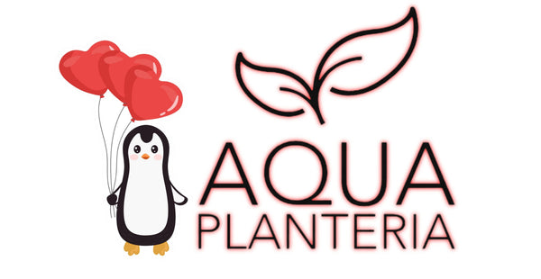 Aqua Planteria