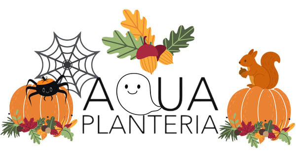 Aqua Planteria