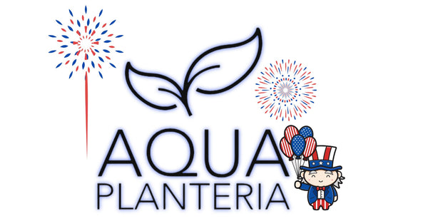 Aqua Planteria