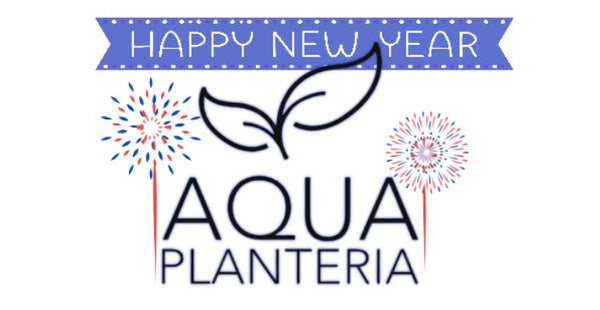 Aqua Planteria
