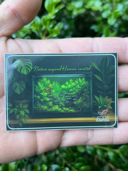 Aqua Planteria Sticker!